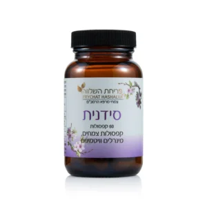 סידן סידנית צמחי מרפא הרמב"ם