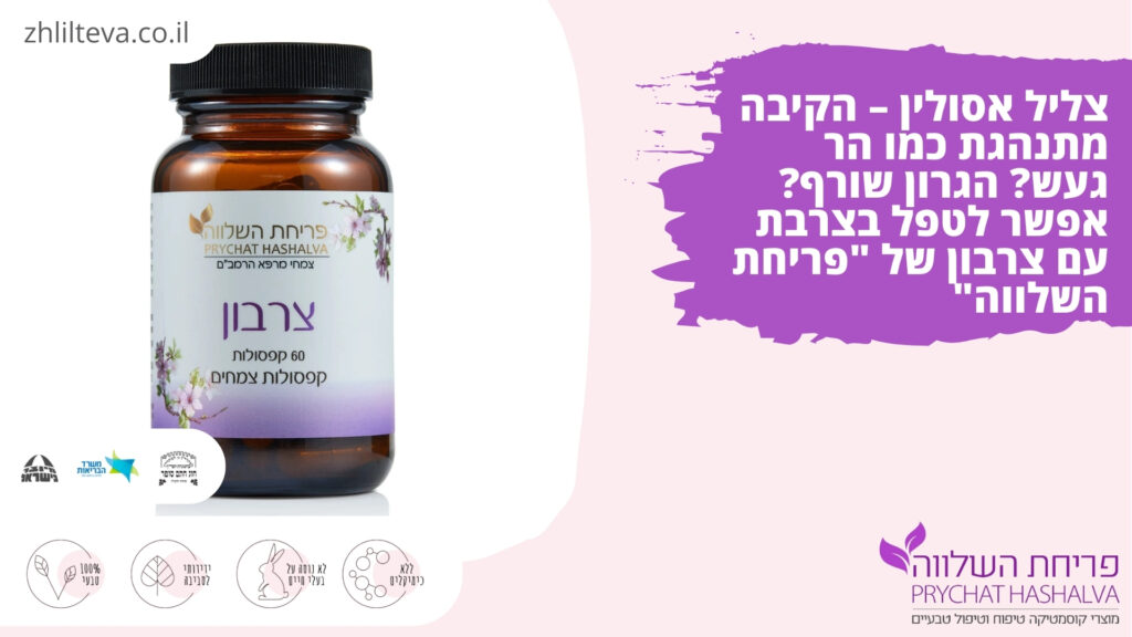 צליל אסולין – הקיבה מתנהגת כמו הר געש? הגרון שורף? אפשר לטפל בצרבת עם צרבון של "פריחת השלווה"